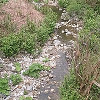 vlcsnap-2026-06-01-23h43m24s137